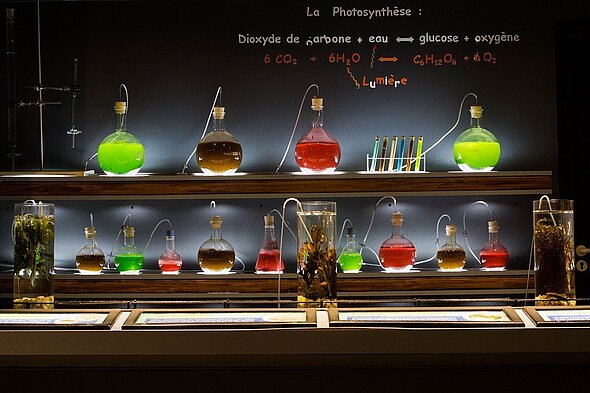 Le laboratoire de la la mer