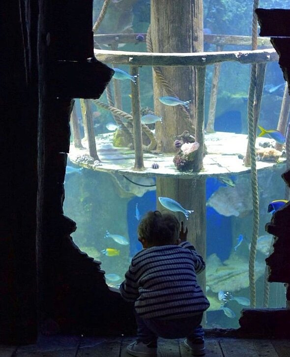 Visite de l'aquarium de Saint Malo avec un bébé