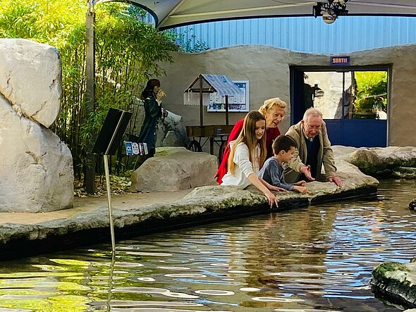 Visite de l'aquarium de Saint Malo avec un bébé