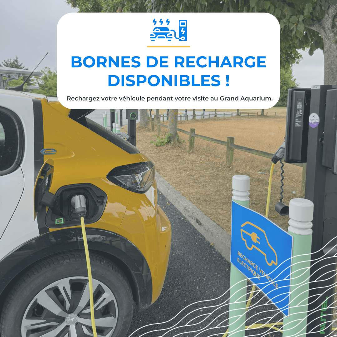 Bornes de recharge électrique Bornes de recharge électrique au Grand Aquarium de Saint-Malo