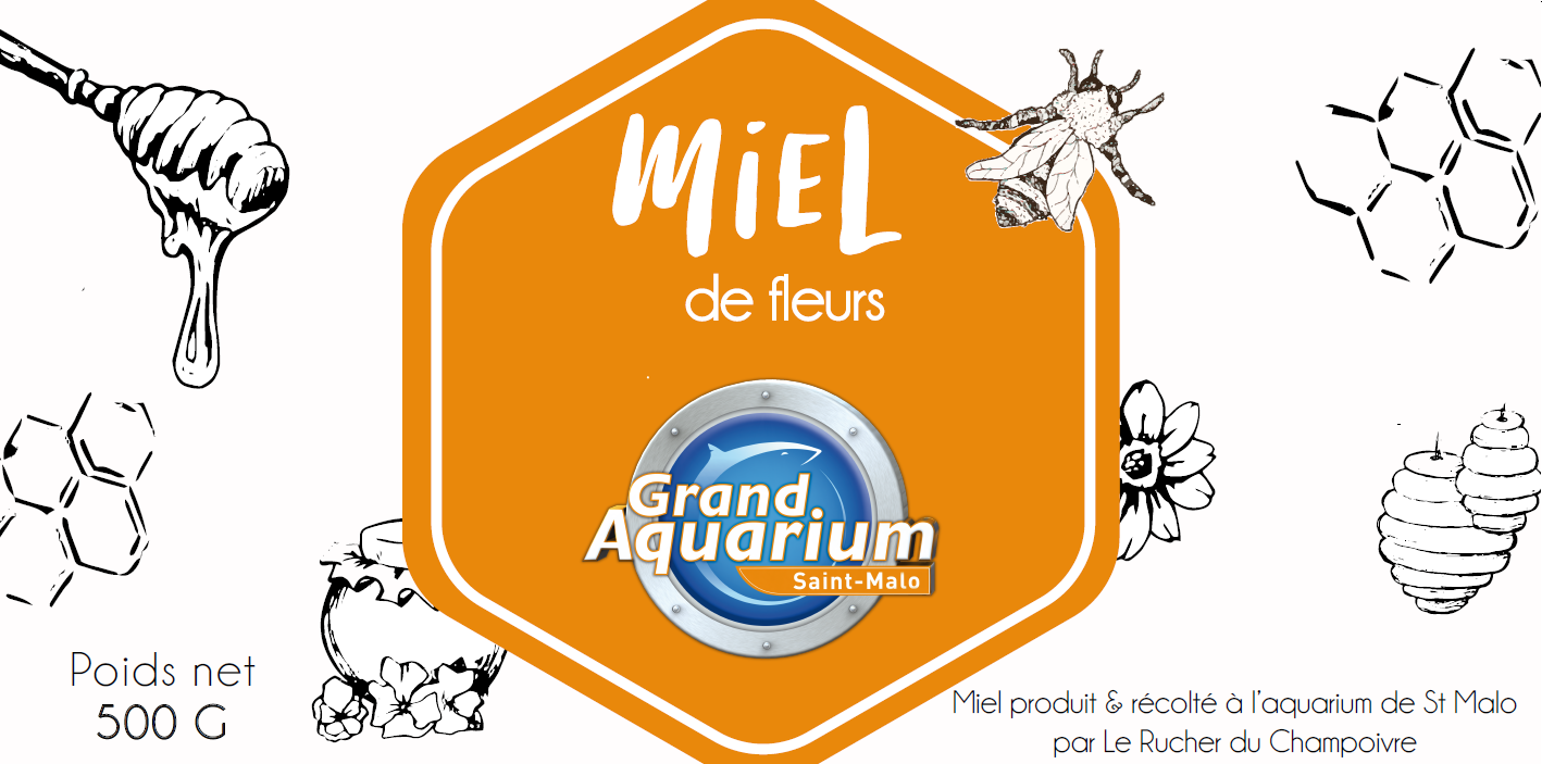 Venez découvrir le miel du Grand Aquarium